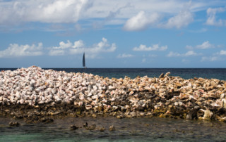 Czarter na Karaibach - Mustique