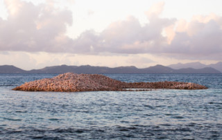 Czarter na Karaibach - wyspa Mustique