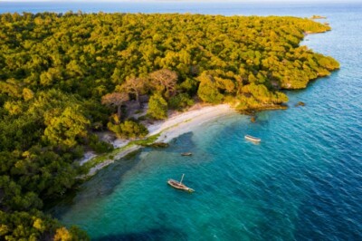 Wspaniała przyroda Archipelagu Zanzibar