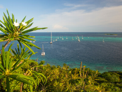 Widok na Tobago Cays
