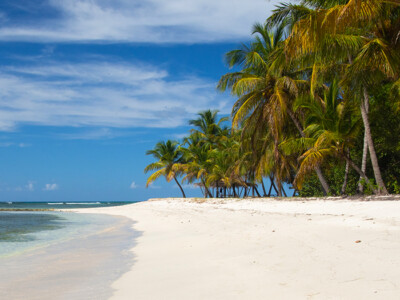 Mustique 