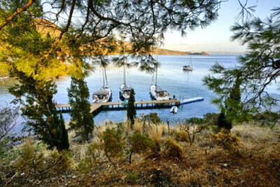 Zatoka Asi Koyu - Turcja