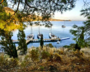 Arktur Kurcuk Turcja