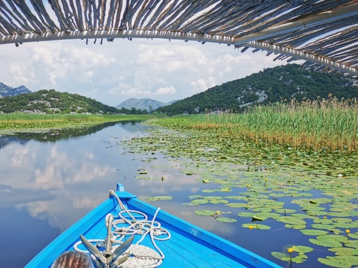 Czarnogóra - Jezioro Szkoderskie