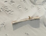 Czyste plaże Morza Śródziemnego - takie chcemy zostawiać po naszych rejsach