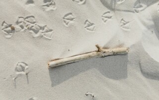 Czyste plaże Morza Śródziemnego - takie chcemy zostawiać po naszych rejsach