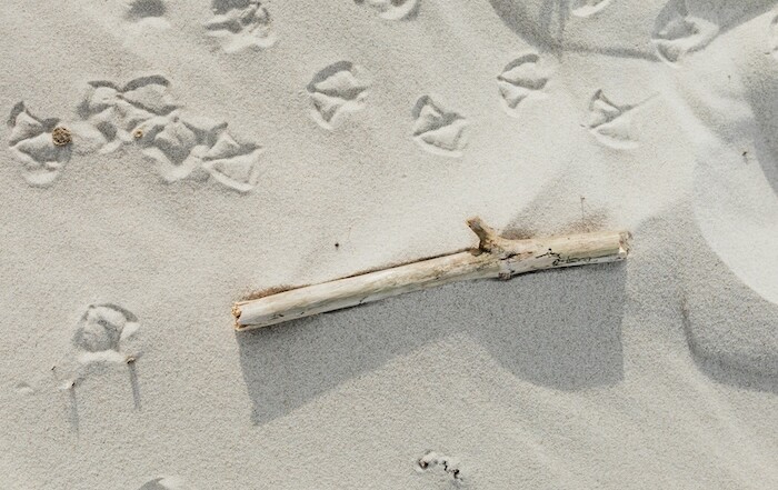 Czyste plaże Morza Śródziemnego - takie chcemy zostawiać po naszych rejsach