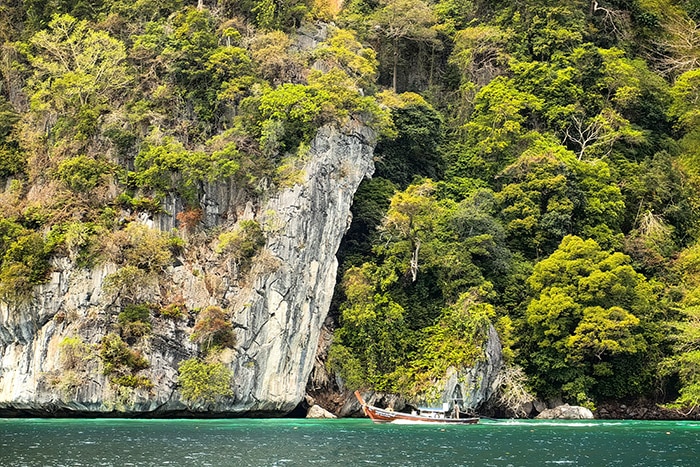 Czarter Tajlandia - bujnie porośnięte klify Koh Phi Phi